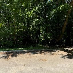 99 Acres Hwy 321 Bypass