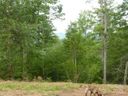 240 Thunderhead Drive sold home in Marshall, SC