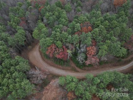 13 Wildlife Drive active home in Dream Valley, Clyde, NC