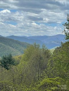 Homes in Newfound Gap Acres, Leicester