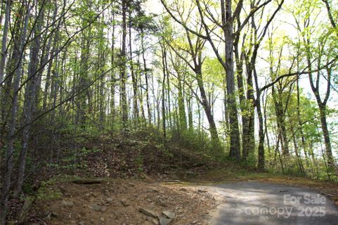 58 Ashewood Mountain Way sold home in Ashewood, Candler, NC