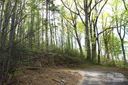 58 Ashewood Mountain Way sold home in Candler, SC
