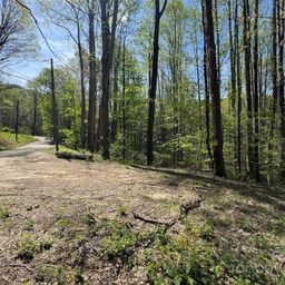 Tbd B Browning Branch Road