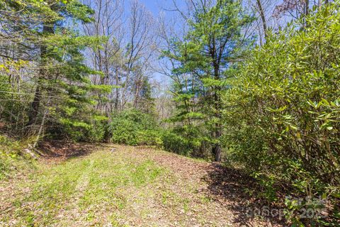 99999 Fairview Forest Drive