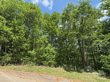 0 Ragans Pointe active home in The Sanctuary Of Tryon, Columbus, NC