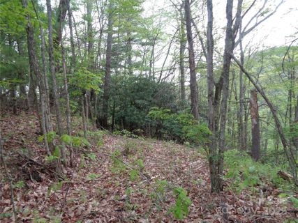 00 Promiseland Road active home in Dream Mountain, Canton, NC