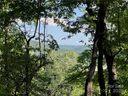 1110 Timberbluff Way sold home in Arden, SC
