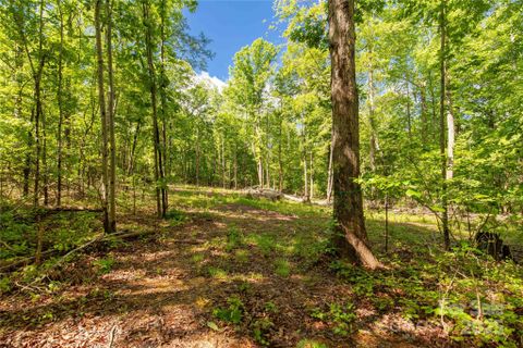 5212 Star Magnolia Court active home in Magnolia, Clover, SC
