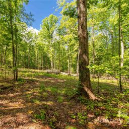 5212 Star Magnolia Court