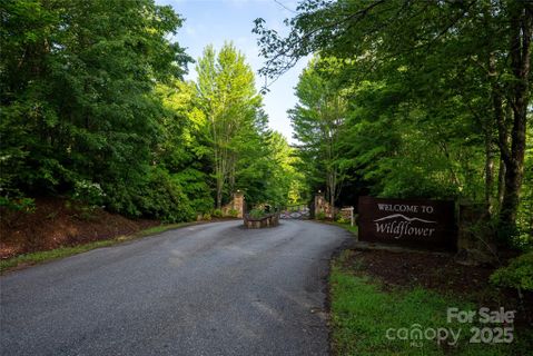 Homes in Wildflower, Franklin
