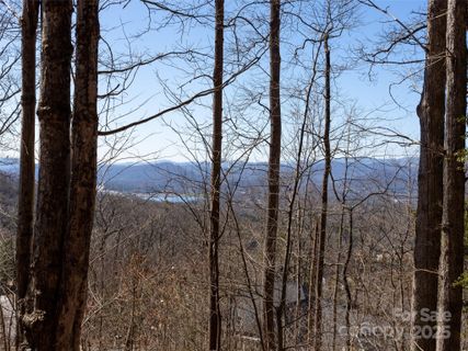 19 Giffords Lane sold home in Pinchot Forest, Asheville, NC