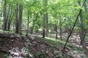 Tbd Poplar Drive sold home in Mills River, SC