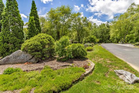 76 Drovers Lane sold home in Drovers Road Preserve, Fairview, NC