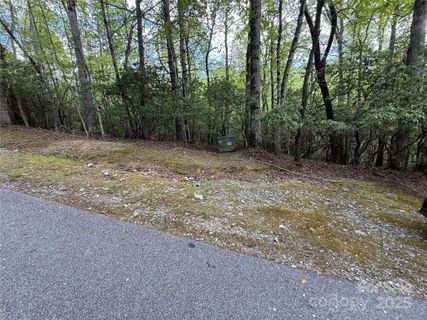 Tbd Tellico Trail
