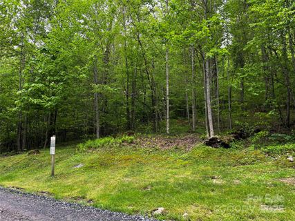 1 Pearl Way active home in The Preserve At Wolf Laurel, Mars Hill, NC