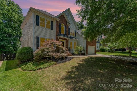1147 Anduin Falls Drive