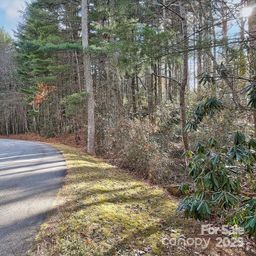 000 Ravenwood Drive