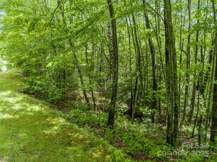000 N Ridge Runner Road active home in The Ridge Tops Of Hawks Nest, Burnsville, NC