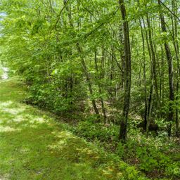 000 N Ridge Runner Road