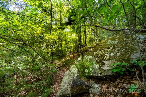 Homes in Blue Ridge Estates, Hendersonville