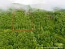 Lot 83 Rainbow Trout Drive sold home in Spruce Pine, SC