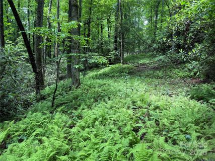 Tbd Caroline Lane active home in Middlemount, Pisgah Forest, NC