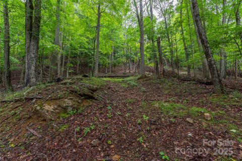 25 Hickory Springs Road active home in The Cove At Celo Mountain, Burnsville, NC