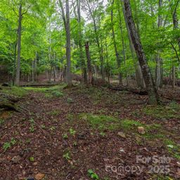 25 Hickory Springs Road
