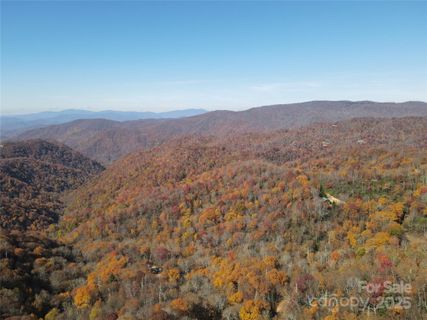 3837 3689 Plott Balsam Road