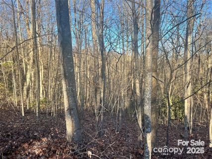 129 Pinnacle Peak Lane active home in Kenmure, Flat Rock, NC