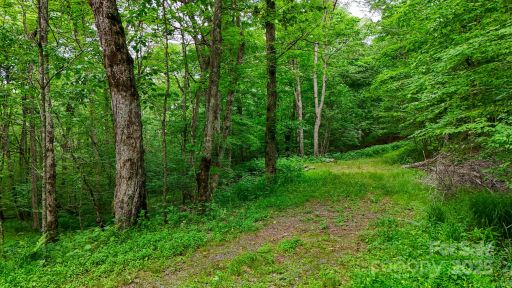 233 Woodland Springs Trail