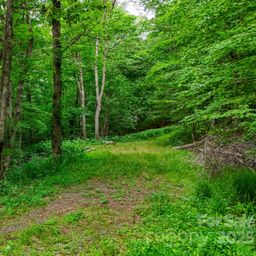 233 Woodland Springs Trail