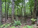 0 Quail Ridge Road sold home in Lake Lure, SC