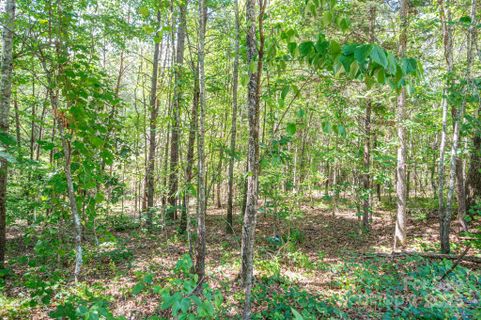 Lot 16 Meadow Crossing Drive