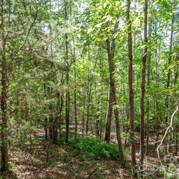 Lot 14 Meadow Crossing Drive