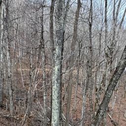 00 Spring Brook Drive