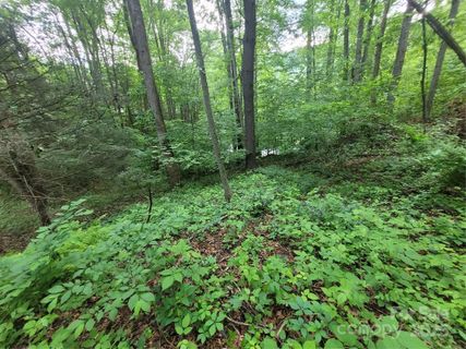 00 Serendipity Lane active home in Rivers Edge, Waynesville, NC