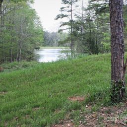 808 Bellegray Road