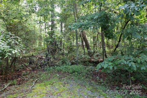 Homes in Whispering Pines, Forest City