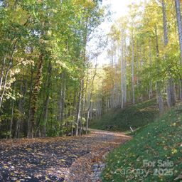 10 Katua Trail