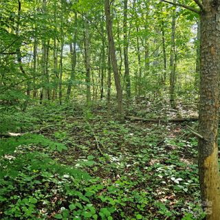 99999 Campground Road
