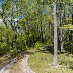 000 Laurel Ledge Way