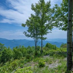 3409 Parris Branch Road