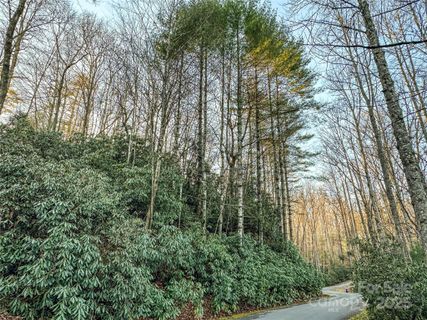 D17 Caroline Lane pending home in Middlemount, Pisgah Forest, NC