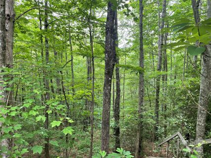 A home in Balsam Mountain Preserve, Balsam