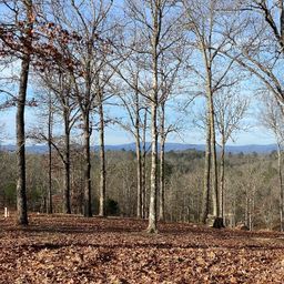 10 Arbor Creek Trail