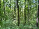 00 Slippery Rock Road sold home in Waynesville, SC