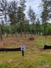 2120 Princeton Mountain None sold home in Connelly Springs, SC