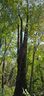 108 Tenderfoot Trail sold home in Maggie Valley, SC