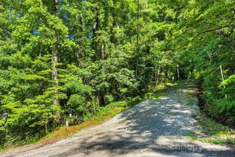 Lot 76 Hunnicut Spur Road active home in Linville Falls Mountain Club And Preserve, Marion, NC